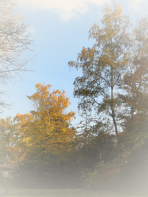 Herbst...